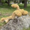 Jellycat Slither Snake