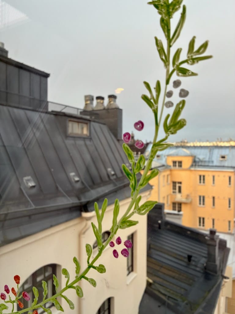 Djeco peiteväritussit - Image 2